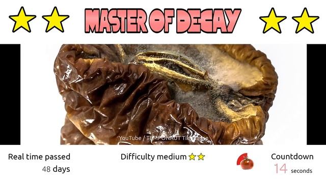 Timelapse Guessing Game - Guess The Fruit! - MOD Episode 06 смотреть онлайн