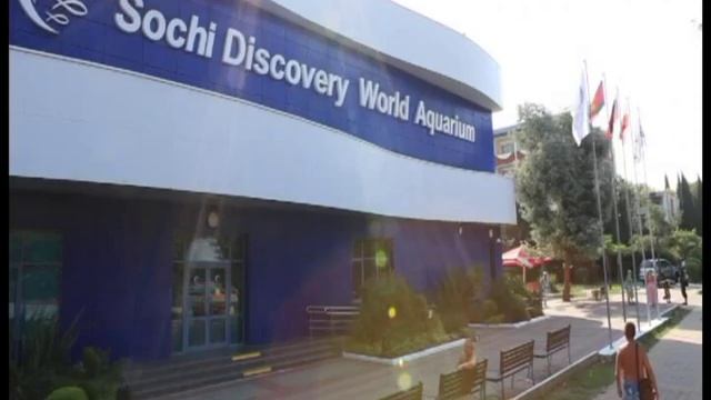 Подводная сказка - самый большой океанариум в России, Краснодарский край, Адлер смотреть онлайн