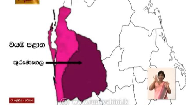 Gurugedara | 2021-02-07 | Grade 4 | Environment | Sinhala Medium смотреть онлайн