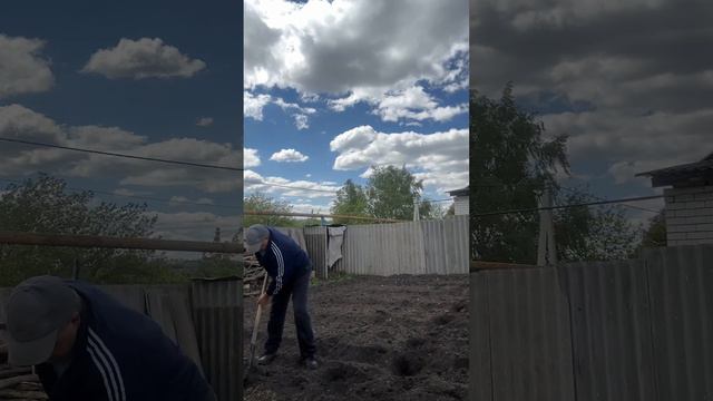 Курская область #Курскаяобласть #Курск #родина #живая жизнь #life