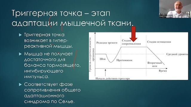 ПРИЧИНЫ БОЛЕЙ В МЫШЦАХ. ТРИГГЕРНЫЕ ТОЧКИ. ФРАГМЕНТ ВЕБИНАРА. ПРИКЛАДНАЯ КИНЕЗИОЛОГИЯ смотреть онлайн