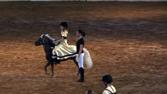 Санкт-Петербургская Международная конная выставка "Иппосфера" 2013 смотреть онлайн