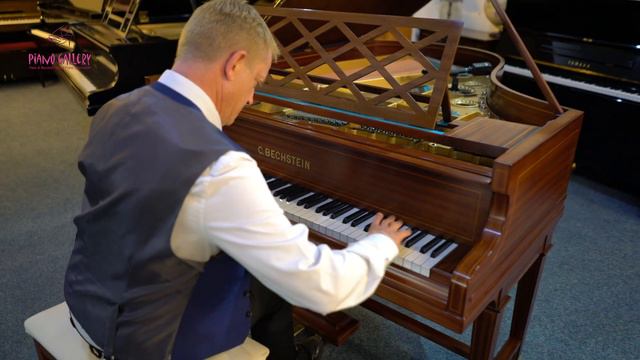 C Bechstein Grand Piano - Chopin Medley смотреть онлайн