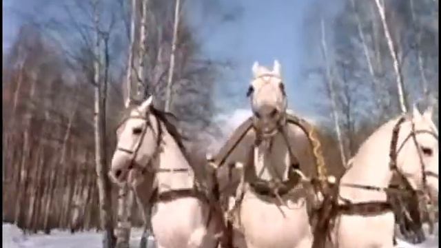 Новый Год! автор Олег Доннэ ролик Виктор Марков смотреть онлайн