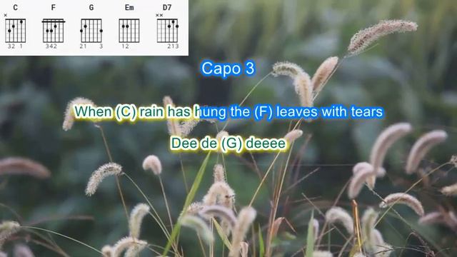 Catch the Wind by Donovan play along with scrolling guitar chords and lyrics смотреть онлайн