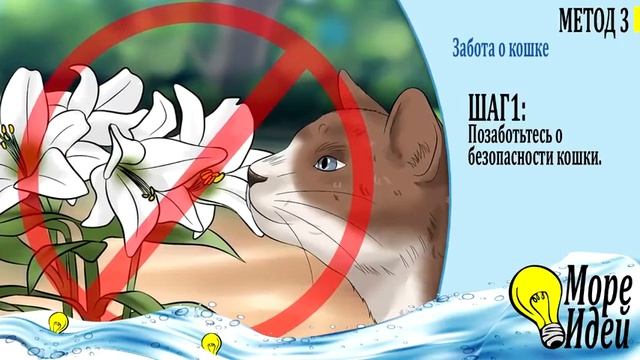 Твоя кошка не любит тебя? Как сделать так чтобы кот тебя любил смотреть онлайн