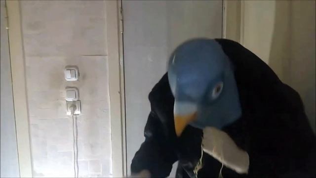 Бешенный голубь жрёт лапшу ШОК Россия спасена