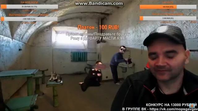 Мопс перепил смотреть онлайн