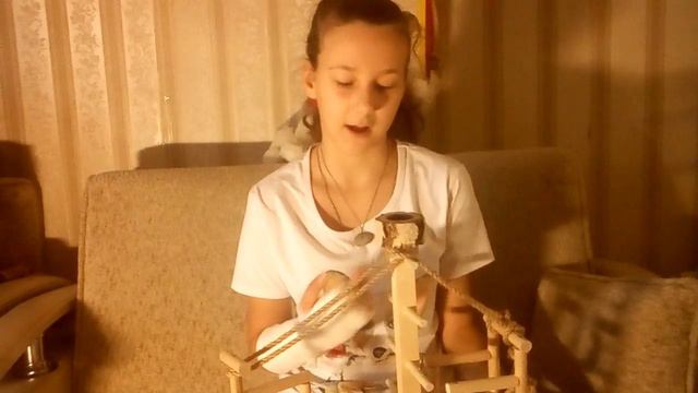 КУПИЛИ СТЕНД ВОЛНИСТОМУ ПОПУГАЙЧИКУ смотреть онлайн