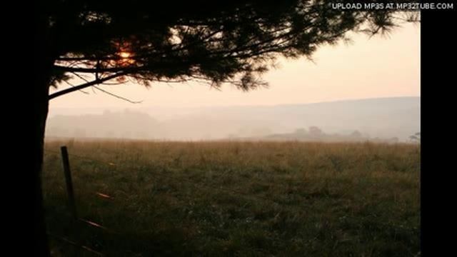 Golden Meadows смотреть онлайн
