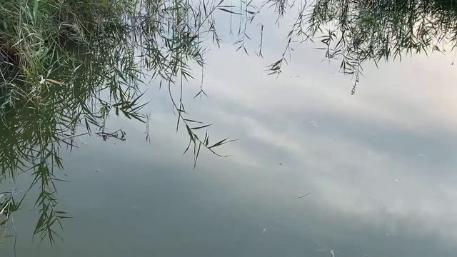 Лайф стрим из бани смотреть онлайн