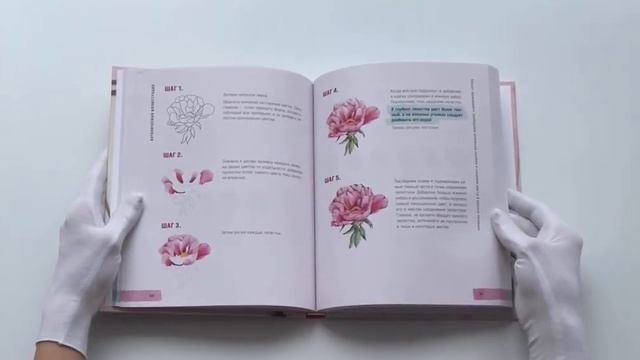 Давайте рисовать акварелью! Полный курс по созданию ботанической, анималистической и фуд-иллюстраци смотреть онлайн