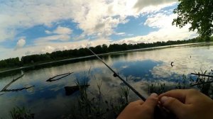 Ловля ОКУНЯ на волкер (уокер) | Ужгородский Стик | Атаки ЧАЕК!