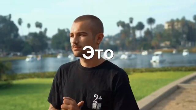 Растения для вашего уюта