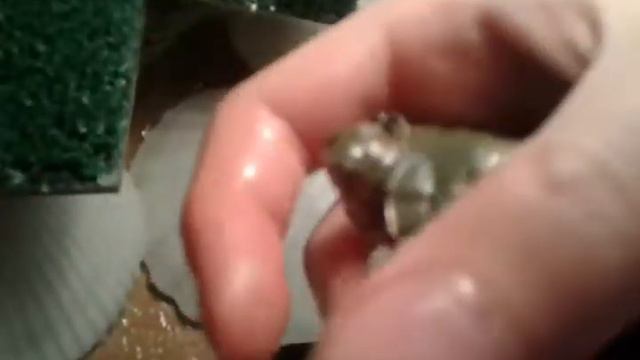 Елли заболела? Что с ней? смотреть онлайн