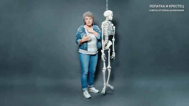 Мышцы и стабильность