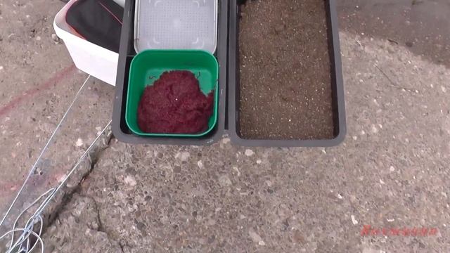 Рыбалка на поплавок, соревнования. Чемпионат Чувашии по ловле рыбы на поплавочную удочку. смотреть онлайн