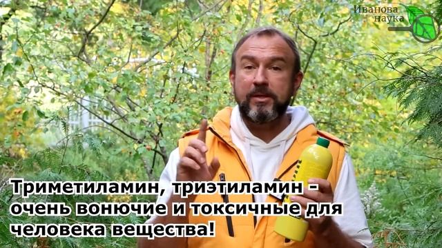 ВОНИЩА ИСЧЕЗАЕТ БЕЗ СЛЕДА! Туалет больше не будет вонять, просто налейте это! Все запахи - брысь! смотреть онлайн