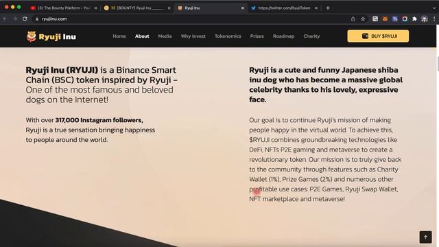 Ryuji Inu | The Future Of P2E Gaming смотреть онлайн