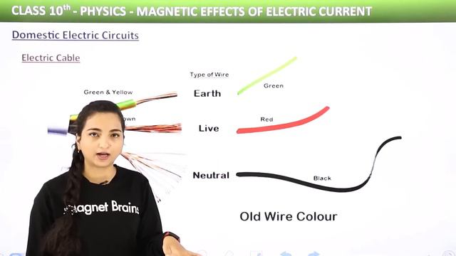 Magnetic Effects of Electric Current - Full Chapter Explanation | Class 10 Physics Ch 13 | 2022-23 смотреть онлайн