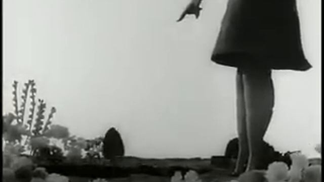 Vincent - Tim.Burton.Short.Animation.1982