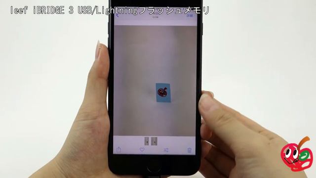 leef iBRIDGE 3 USB:Lightningフラッシュメモリ