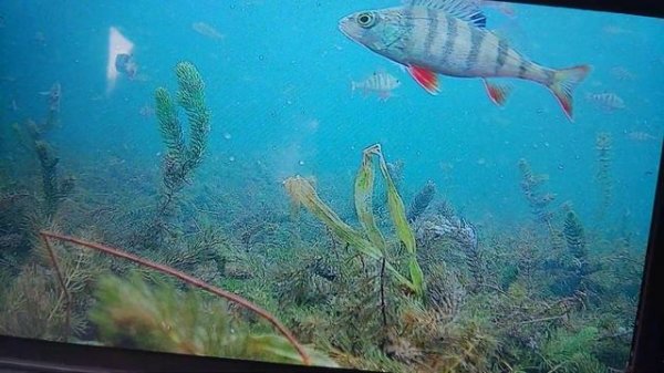 imx327 озеро Уткуль 3м