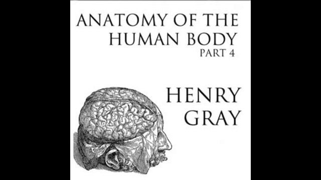 Anatomy of the Human Body, Part 4b by Henry Gray Audiobook (Full High Quality) смотреть онлайн