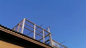 Ижевские голуби. В гостях у Сергея(Дед) 24 июня 2020г.