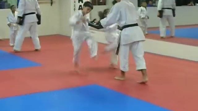 Karate - 21/01/2011