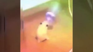 хомяк флексит с бутылкой