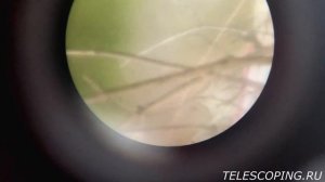 Цена ошибки - 100 000 руб. Купил телескоп на авито не проверяя!