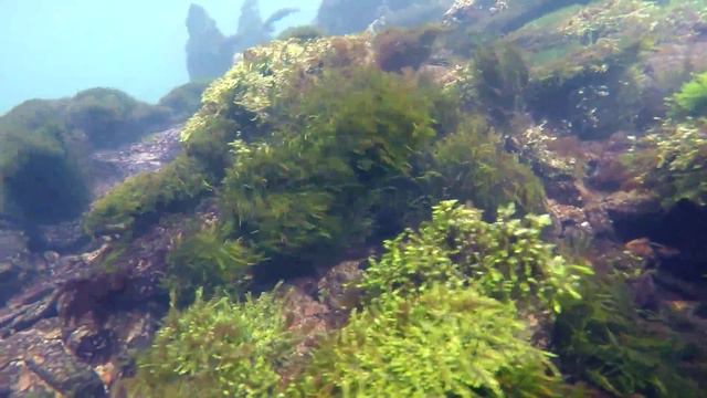 Ключ Шишмарал. Река Уфа. Башкирия. смотреть онлайн