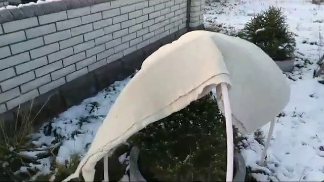 Утепление хвойных растений (ель,ёлка, туя, сосна, можжевельник) смотреть онлайн