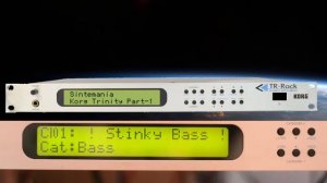 🎹 KORG TRINITY DEMO SOUND PART-3: BASS Sounds