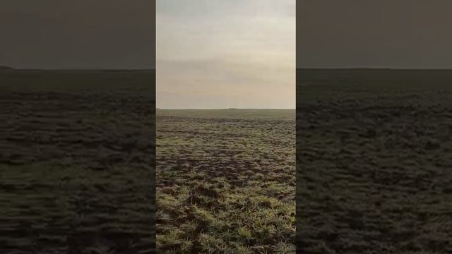 Продаю участок 6 соток в Крыму. смотреть онлайн