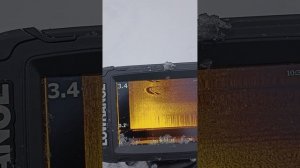 летний эхолот зимой Lowrance T2