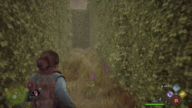 Lower Hogsfield Hedge Maze Puzzle Hogwarts Legacy смотреть онлайн