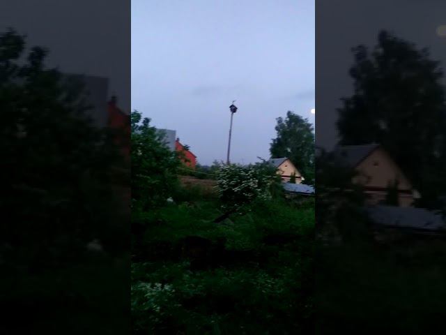 Закат. Тихо. смотреть онлайн