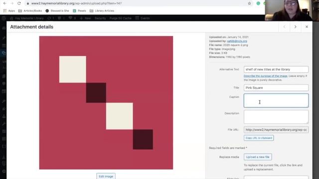 WordPress 101: 5 - Using Your Media Library смотреть онлайн
