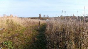 Ловля коноплянки