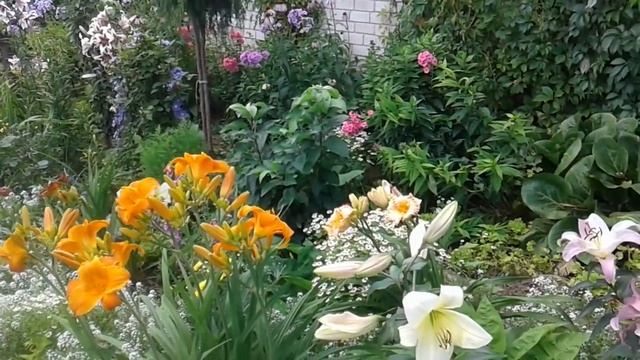 Чудо-сад Светланы Бутусовой в Елабуге. Август 2017 смотреть онлайн