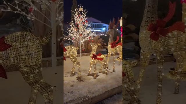 НОВЫЙ ГОД В КОРЕЕ 2023 / Christmas time in Korea #2023 #shortsvideo #новыйгод смотреть онлайн