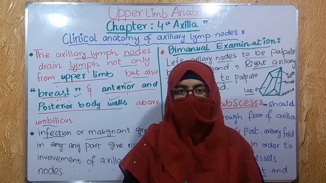 Clinical anatomy of axillary lymph nodes || axillary lymph nodes || chapter 4 axilla || bd churasia смотреть онлайн