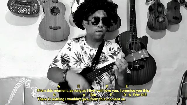 FROM THIS MOMENT | UKULELE COVER | Com cifras | UKULELE ENYA NOVA U смотреть онлайн