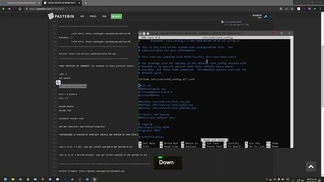 COMO CREAR UN SERVER DE MINECRAFT - SIEMPRE ABIERTO - SIN LAG | 2022 смотреть онлайн