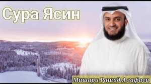 Сура Ясин | Surah Yaseen. Утренний Коран. Слушайте каждый Утра