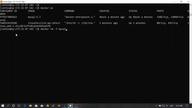 58. Why are volumes so important Let's check it using MySQL || Docker, From Zero To Hero смотреть онлайн