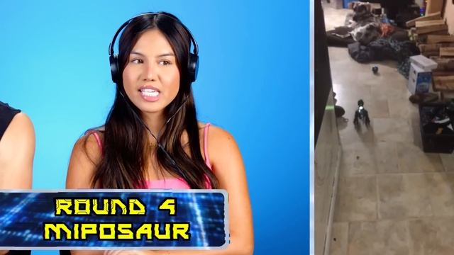 Gen Z & Millennials Try The Most Affordable A.I Robots! (EMO, Eilik, Robot Cube) смотреть онлайн