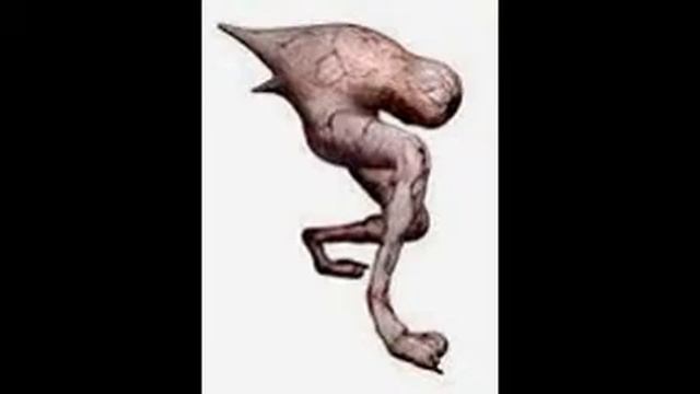top 5 coolest characters on silent hill смотреть онлайн